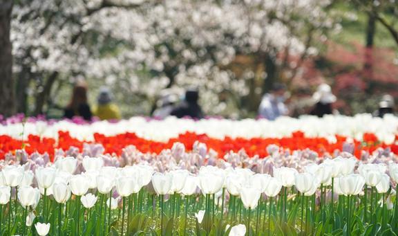 行地私藏着杭州最美春色4月来正适合AG真人网站杭州这2个颜值颇高的旅(图2)