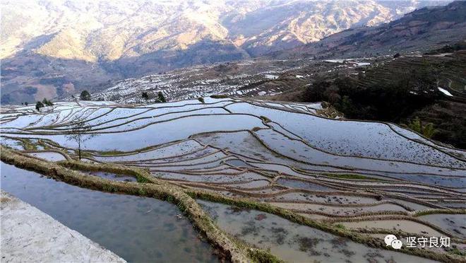 与饮水：各自的魅力AG真人网站饮茶